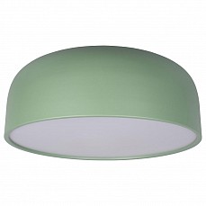Накладной светильник loft it axel 10201-480 green